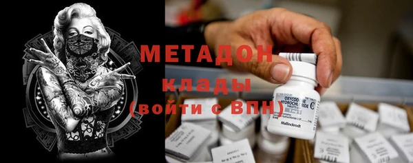 прущие грибы Козельск