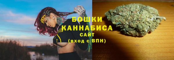 прущие грибы Козельск