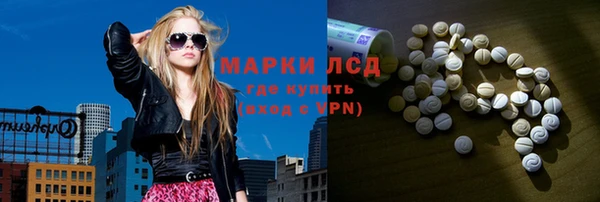 прущие грибы Козельск