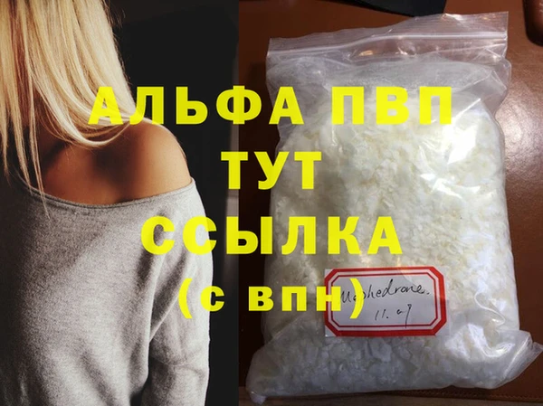прущие грибы Козельск