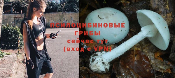 прущие грибы Козельск