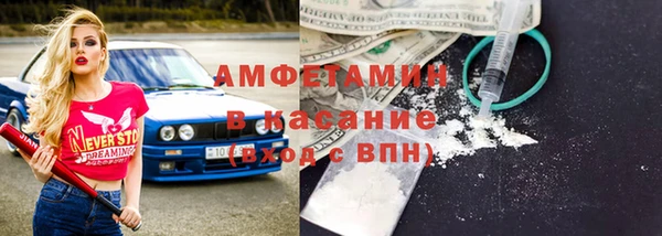 прущие грибы Козельск