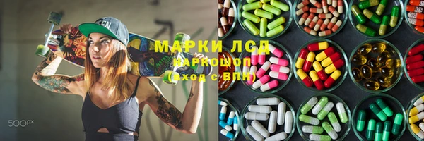 прущие грибы Козельск
