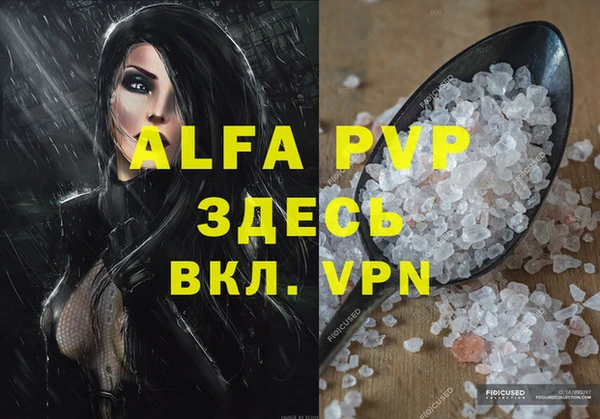 прущие грибы Козельск
