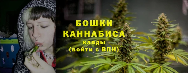 прущие грибы Козельск