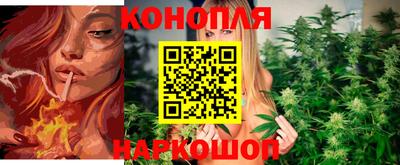 Альфа ПВП Пенза