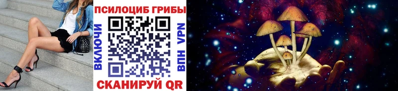 Псилоцибиновые грибы прущие грибы  Рубцовск 