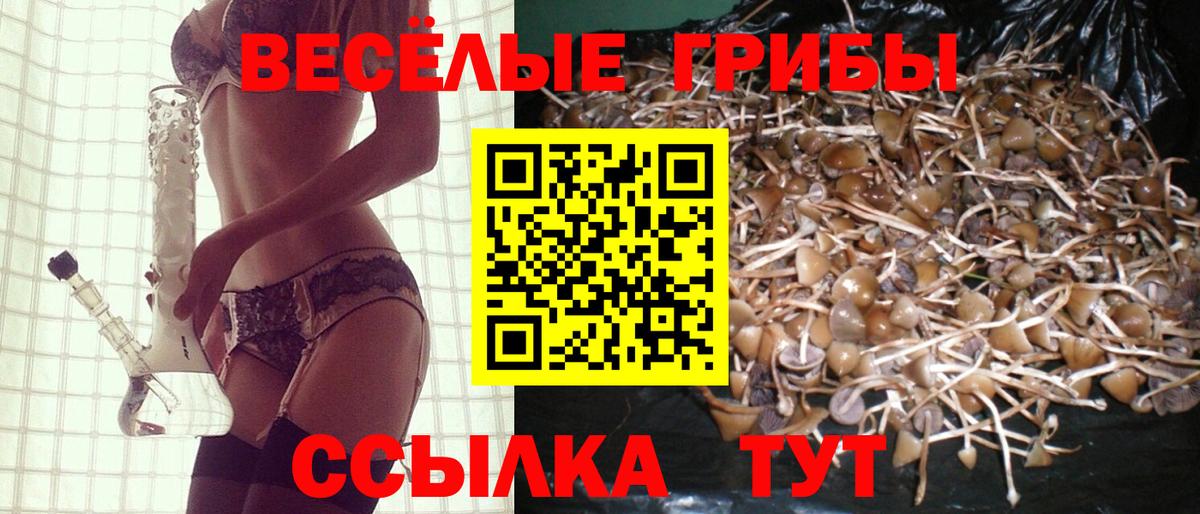 Псилоцибиновые грибы Magic Shrooms Рубцовск