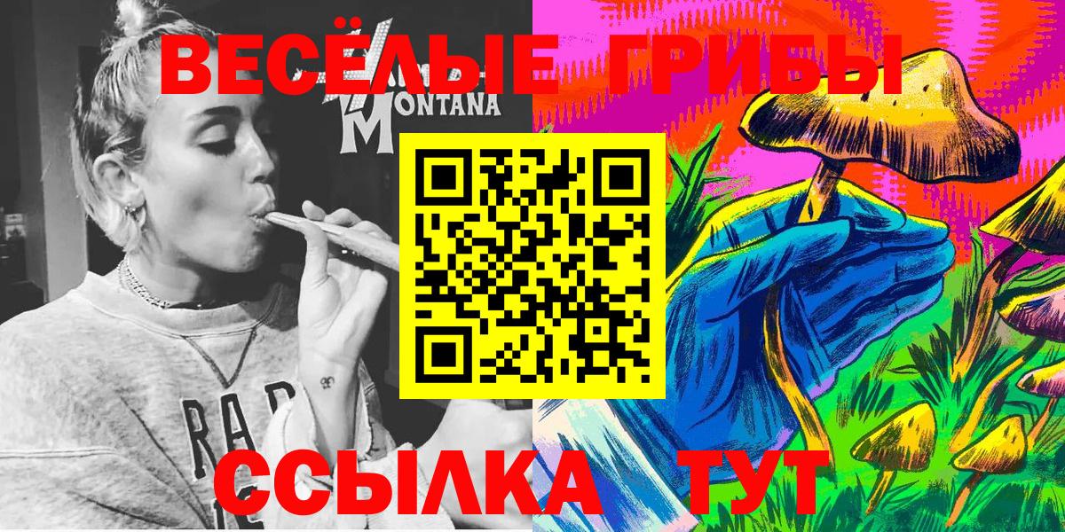 Рубцовск  Псилоцибиновые грибы мухоморы  Вход с VPN 